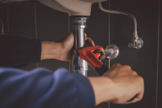 Best Clogged Drain Plumber  in Rolla, ND